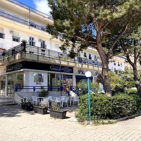 Nuovo Sul Mare Immerso Nel Palermo